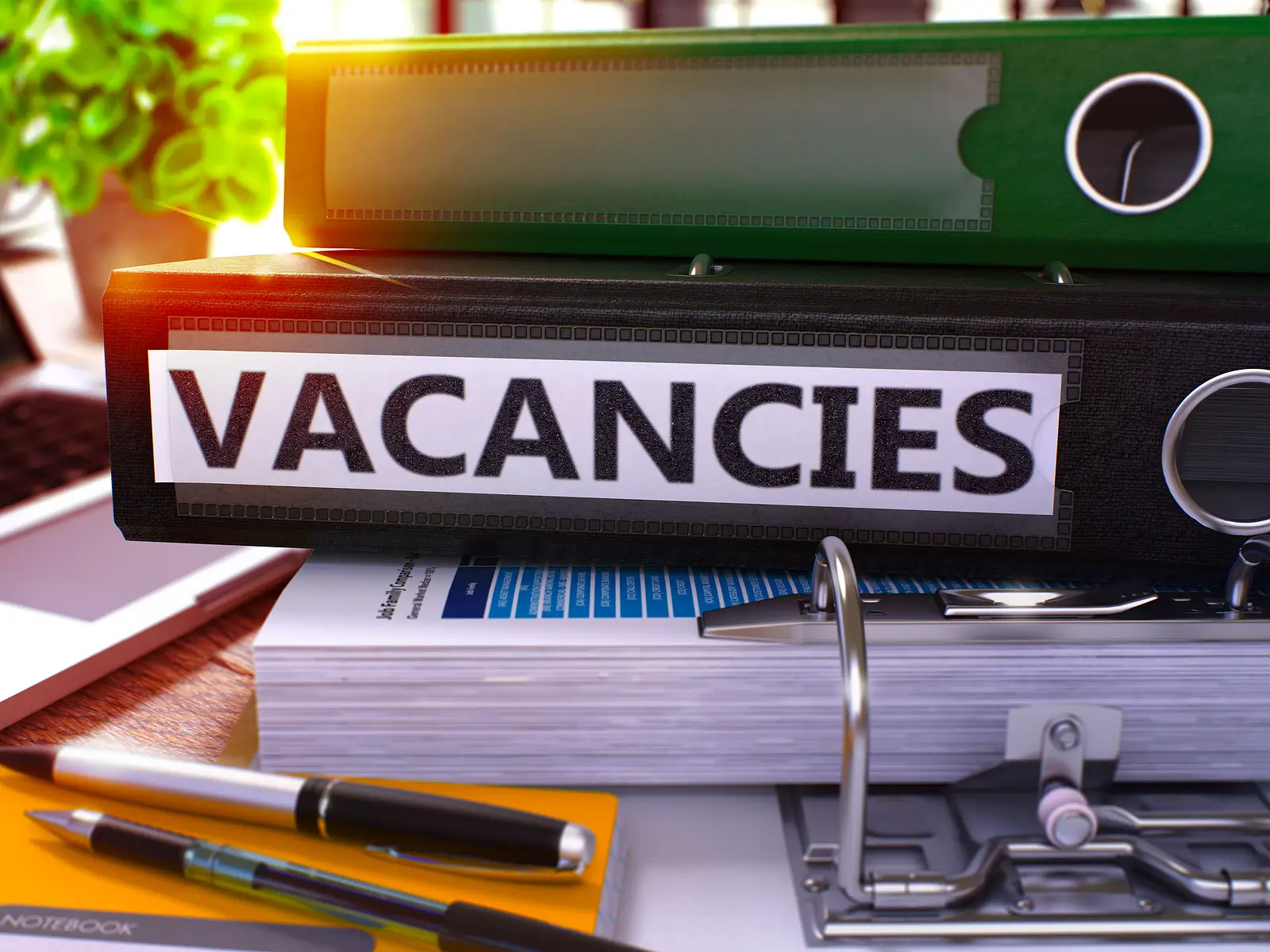 The True Cost of Vacancy: Why Filling Units Quickly (and Strategically) Matters