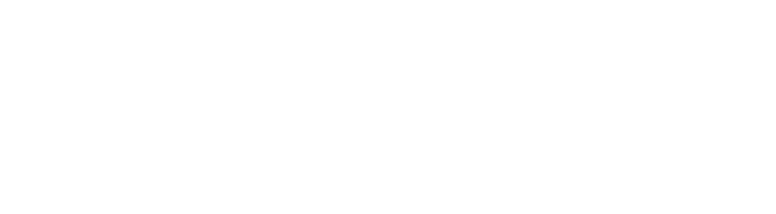 Martin Team at Dickson Realty Logo